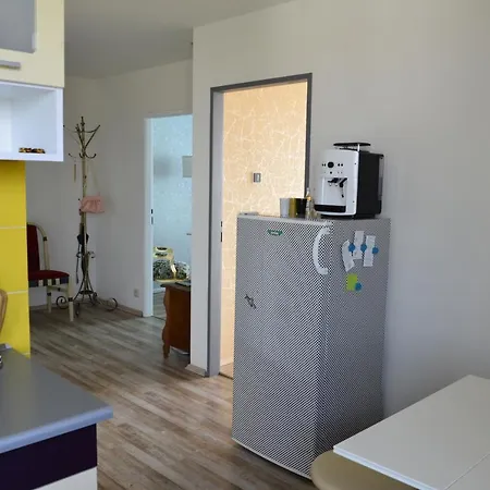Between Baroque And Jungle 16' Airport 8' Downtown Apartment
