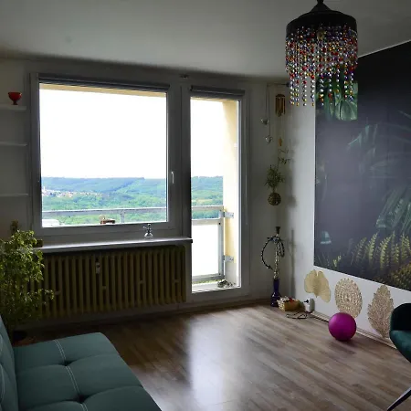 Between Baroque And Jungle 16' Airport 8' Downtown Apartment